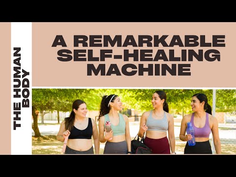 The Human Body - A Remarkable Self-Healing Machine
