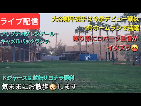 【ライブ配信】大谷翔平選手は今季デビュー戦は1号ホームランで活躍⚾️帰り際にロバーツ監督がイタズラ😛ドジャースは逆転サヨナラ勝利⚾️気ままにお散歩🐶します💫