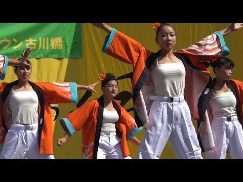 魅力的な踊り子さんがいっぱい