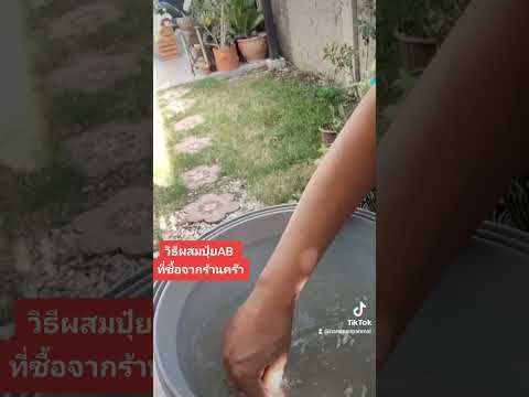 วิธีผสมหัวเชื้อ AB ปุ๋ยน้ำสำหรับปลูกผักสลัด พืชผักสวนครัวแบบไฮโดรโปนิกส์