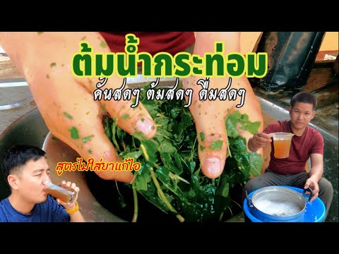 ต้มน้ำกระท่อม ง่ายๆ ที่บ้าน (ไม่ใส่ยาแก้ไอ) [กินอะไรก็ได้ EP.16]