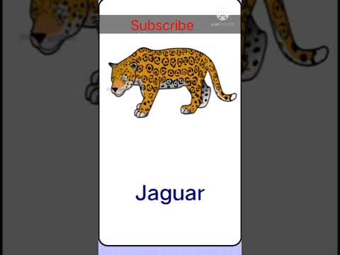 #Childlearnkids15 animal name and picSome play and some learn#short