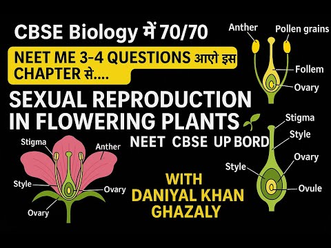 Sexual Reproduction in Flowering Plants NEET questions with answers #Biology #CBSE #bsc #cbse #DKG