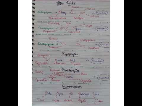 plant kingdom chapter tricks ||biology #neet2023 #neetug #biology #tricks