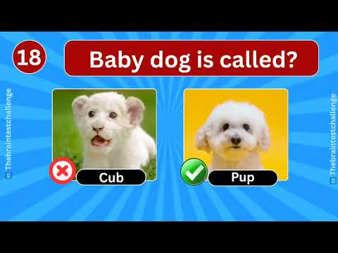 Guess the Animal Challenge🐾 | 50 Fun Animal Quiz Questions!