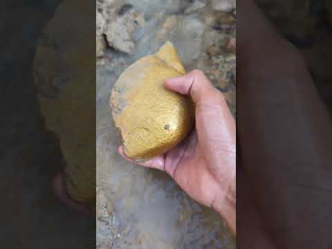 digging for gold in a river that used to be a gold mine #goldhunter #lookingforgold