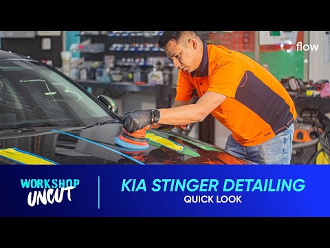 Quick Look: Kia Stinger Detailing