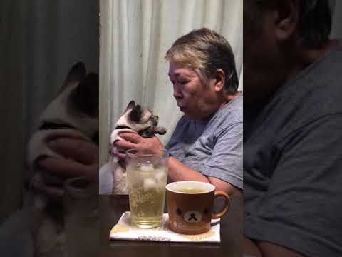 猫に説教！  ？？？？？