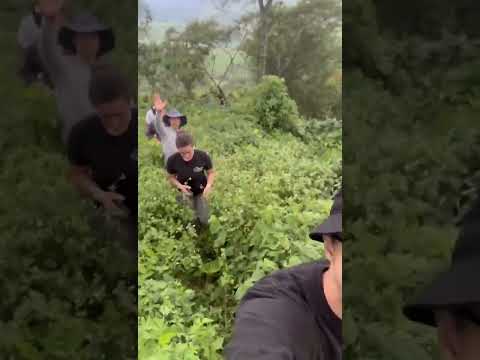 Joe in Mexico. Climb in coffee farm. #coffee #artly