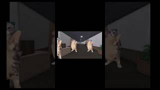 Roblox mm2! Oders and teamers?!?!?!😳😳😳 #cats #roblox #cat #viral #funny #memes #mm2 #mm2funny