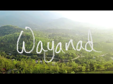 The beauty of Wayanad 4k | വയനാട് |gods own country