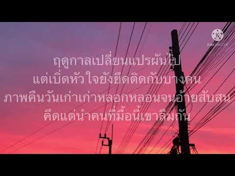ฮักเจ้าแฮง- เนม สุรพงศ์ [เนื้อเพลง]