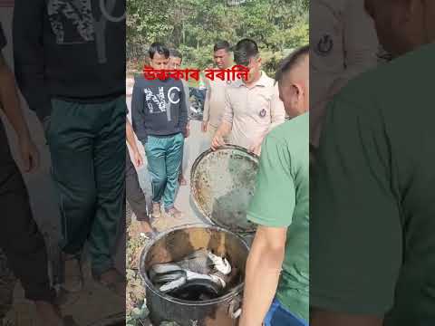 উৰুকা ৰাতিৰ ভোজৰ মাছ #maghbihu #maghimela #bihusong #bhugalibihu #bihu #shortsvideo #trendingshorts