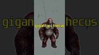 Ark Gigantopithecus🦧