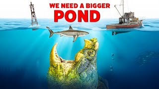Huge Alligator Snapping Turtle Rescue Presents Major Challenge at Garden State Tortoise! + more