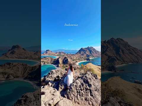 🇮🇩來印尼不要再只會去峇里島了 2025年即將關閉你還不趕快來嗎？ #科摩多 #komodo #komodotour #indonisia #travel