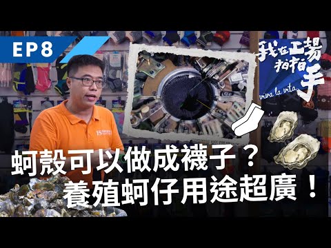 蚵仔可以做成襪子？養殖蚵仔用途超廣，超乎你的想像！｜我在工場拍拍手｜EP8廢棄蚵殼再生｜公視+免費收看