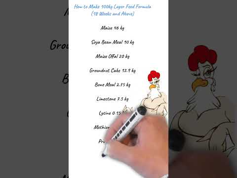 How to Make 100kg Layer Feed Formula (18 Weeks and Above) #chicken #raisingchickens #layer #food