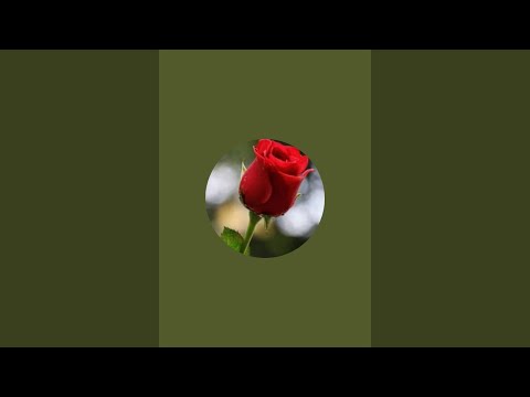 UNaing 2D3D is live! is live!