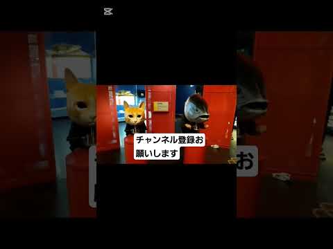 #ミュージアムパーク#恐竜博物館#Kくん#shorts