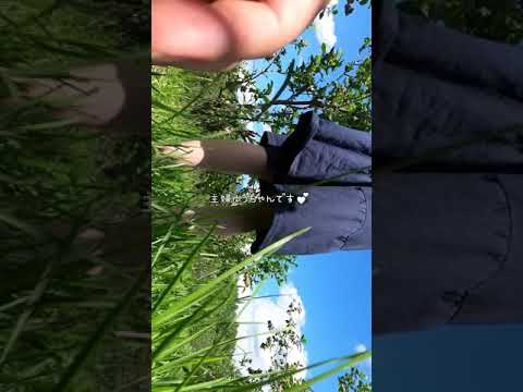 高原の果実摘み取り体験🫐🌲風が強い日でした