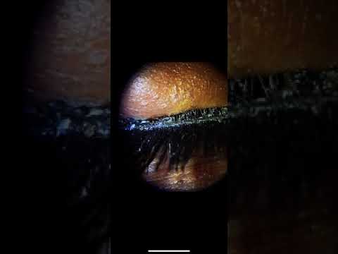 Why Eye Doctors do not recommend False Eyelashes