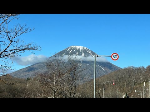 2024.11.14  北海道！40センチ以上しかいないのかー！！！尻別川支流編