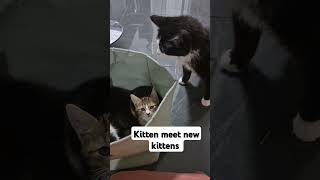 meeting first time