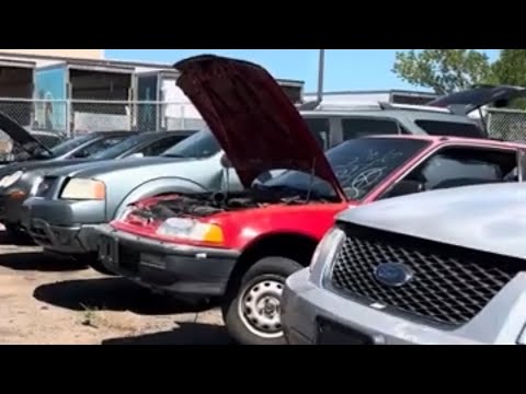EF Hatch - RARE OEM Parts Find at U Pull Junkyard - 91 Honda Civic
