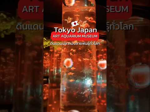 🇯🇵✨️Art Aquariumดินแดนปลาทองสัมผัสศิลปะแห่งแสงและปลาทองในญี่ปุ่น #ArtAguarium  #เที่ยวญี่ปุ่น #Japan