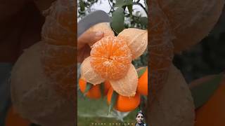 जान लो ये #facts #trending #ytshorts #viralshort #shorts #amazingfacts #food #lifehacks #factsnew