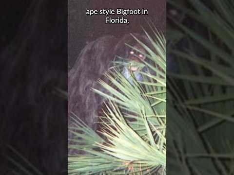 Florida Skunk Ape Caught on Camera | Scariest Bigfoot Photos #paranormal #funfacts #scary
