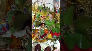 Radhe Radhe 🙏💐Magh ekadashi #trending #viral #youtubeshorts #reels #status #shorts