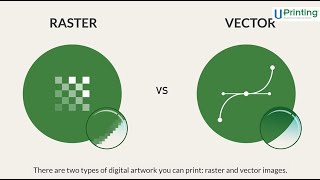 What's the Difference Between Raster and Vector Images