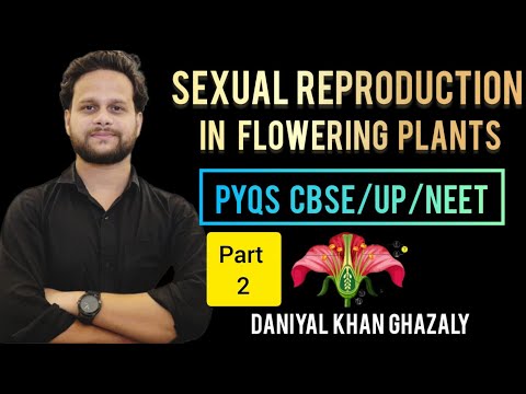 Sexual Reproduction in Flowering Plants Top PYQs (PART 2) NEET 2026/CBSE/LT grade Bio Daniyal Khan