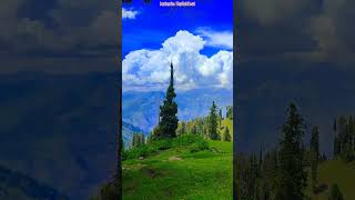 #newreel2025 #kashmirgojrisongs #yasiriqbalwangathi #duet #gojripaharigana #song #tranding #unfrezz