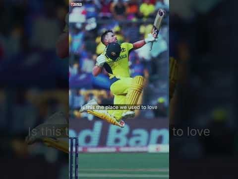 David Warner X Somewhere only we know 💛 #music #youtubeshorts #cricket #warner #davidwarner