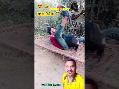 सपने में बकरी के साथ#youtubeshorts #funnyvideo #comedy #funnyreactioncomedy