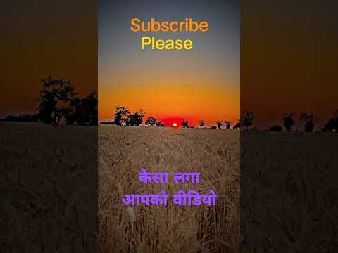 Berojgar sonihye #trending #up79 #punjabisong #india#viral  #sapnachoudhary #heartbroken #farmer