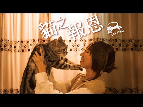 《貓之報恩》MV｜麗英 LaiYing