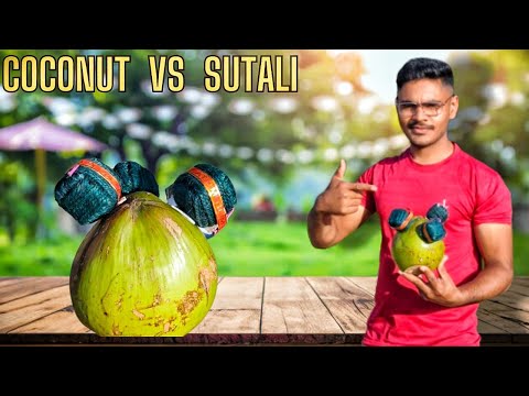 क्या दिवाली सुतली नारियल को तोड़ सकता है? coconut VS diwali Sutali bom | #diwali