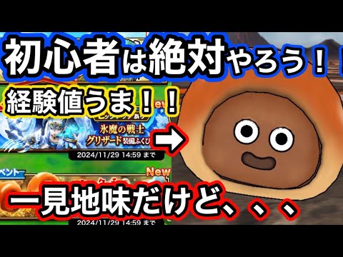 【ドラクエウォーク】お！？初心者にとって新イベ経験値上手いかも！？新武器やストーリー追加も来たぞっと！！ゼロから始める【ドラゴンクエストウォーク】part27