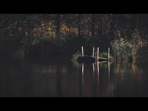 Swamp Sounds At Night | Swamp Ambience |