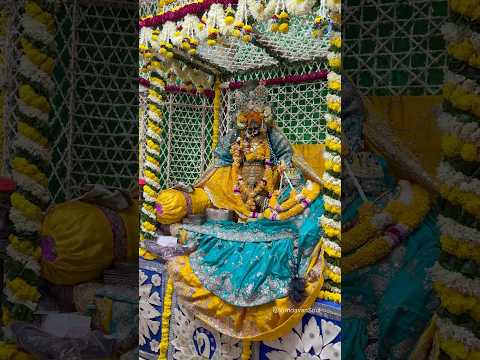 Aiso chatak matak so thakur #radhavallabhlal #vrindavan