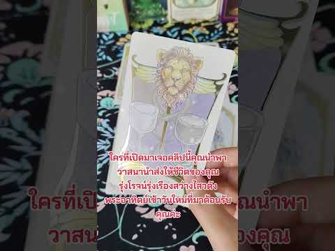 #ไพ่ยิปซี #tarot #cneᴅɪᴛᴢ #ดูดวง #pickacard #heyㅤbnlズ #tarotreader #ทำนายดวง #tarotreading