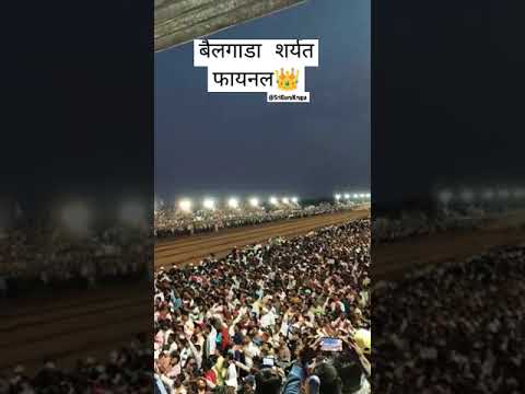 बैलगाडी शर्यत विजेता जोडी👑हिंदकेसरी बकासुर✌🏻महिब्या पै.चंद्राहार दादा #बैलगाडा #bailgadasharyat