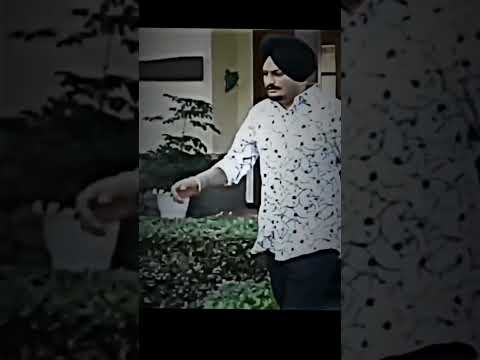 sidhu moose wala attitude status whatsapp status | #shorts #punjabistatus #sidhumoosewala #status