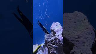 モゾワンダーシティー（UNDER WATER SPACE）アンダーウォータースペース