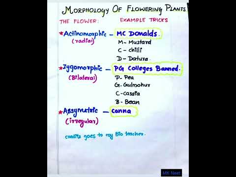 Morphology of flowering plants.Examples tricks &Notes. ll MK Neet ll.Ncert points.Neet Short Notes.
