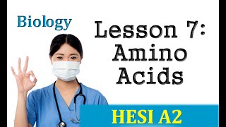 HESI Biology Review - Lesson 7 Amino Acids